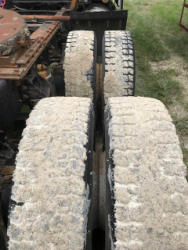 RMC166 (6)