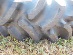 DSCN0361