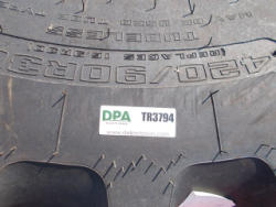 DSCN0380