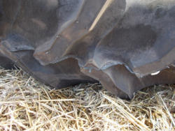 DSCN0436