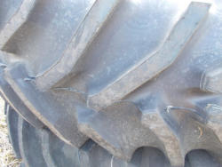 DSCN0484