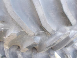 DSCN0538
