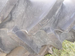 DSCN0553