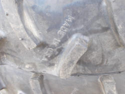 DSCN0323