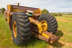 CG331 (20)