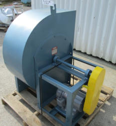 auction-item