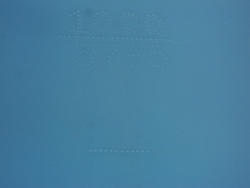DSC01952