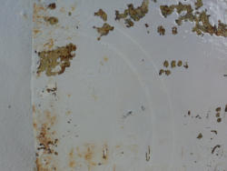 DSC03011