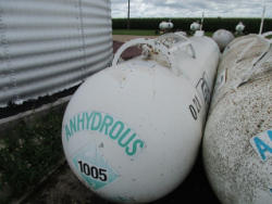 auction-item