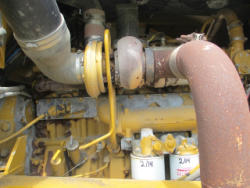 CG354 (11)