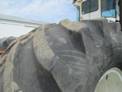 CG354 (16)