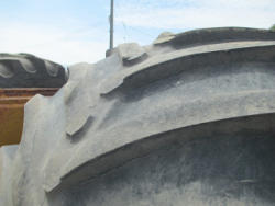 CG354 (18)