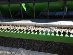 TH163 New (5)