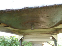 DSC09011