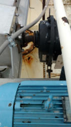 EG303 (4)