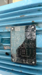 EG303 (5)