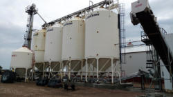 EG303 (6)