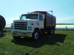 TC146 (3)