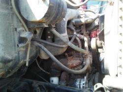 TC146 (34)