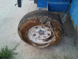 KMK1289 (14)