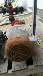 PZ7273 (2)