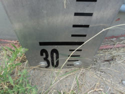 DSC04236