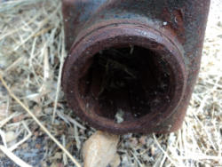 DSC04401