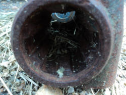 DSC04402