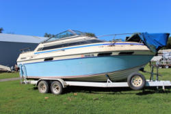 auction-item