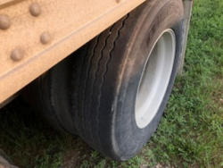 EG287 (22)