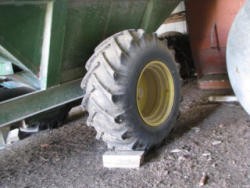 EG319 (7)
