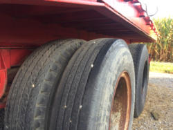 EG320 (8)
