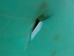 DSC00902