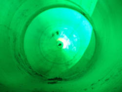 DSC00907