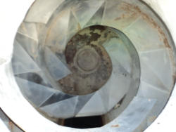DSC02900