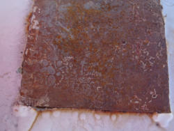 DSC02955
