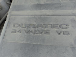 DSC05391