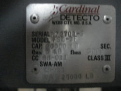 DL169 (14)
