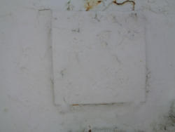 DSC05478