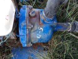 DSC07167