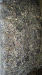 DR7525 (5)