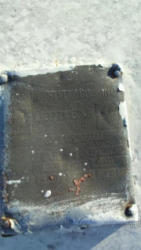 EG336 (3)