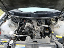TR3923 (1)