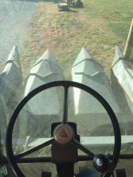 DL173 (3)