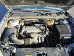 TR4113 (20)