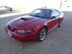 auction-item