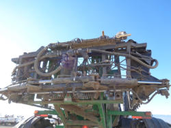PZ8039 (41)