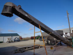 PZ8009 (38)