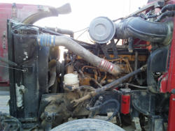 PD1001 (35)