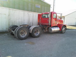 PD1001 (4)